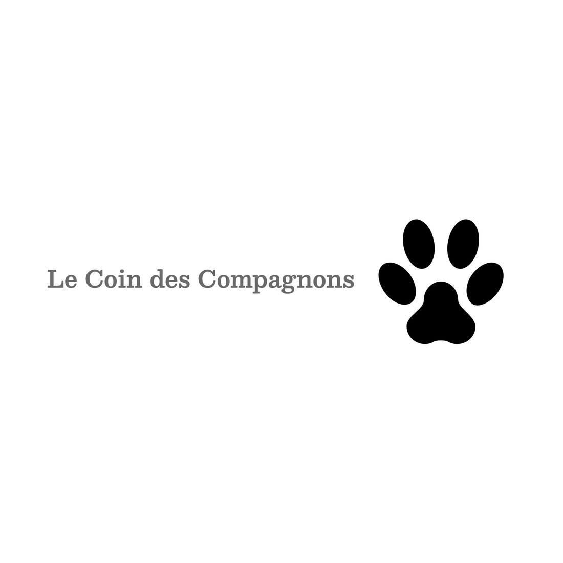 5 Accessoires Indispensables pour le Bien-être de Votre Chien