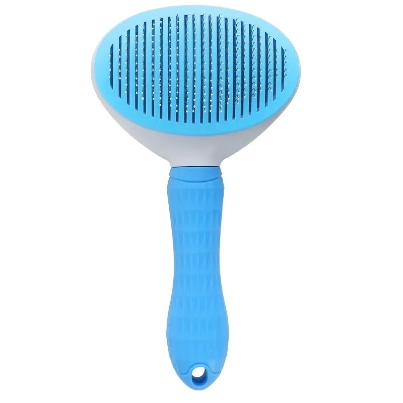 Brosse-antipoils-bleue